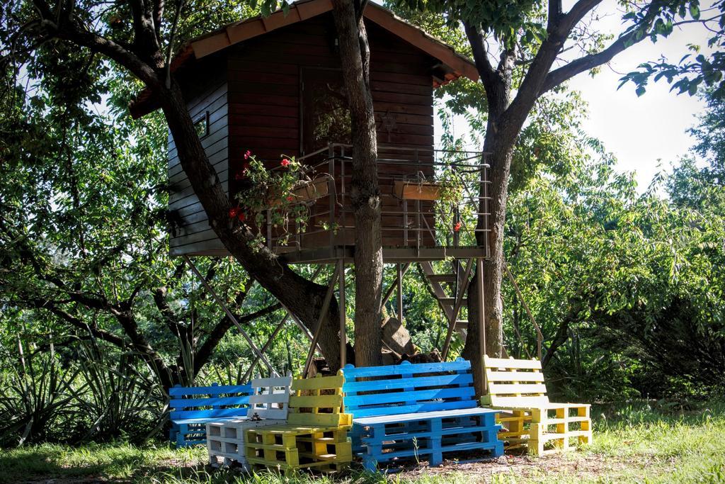 Quinta do Pinheiral Favoes Exterior foto